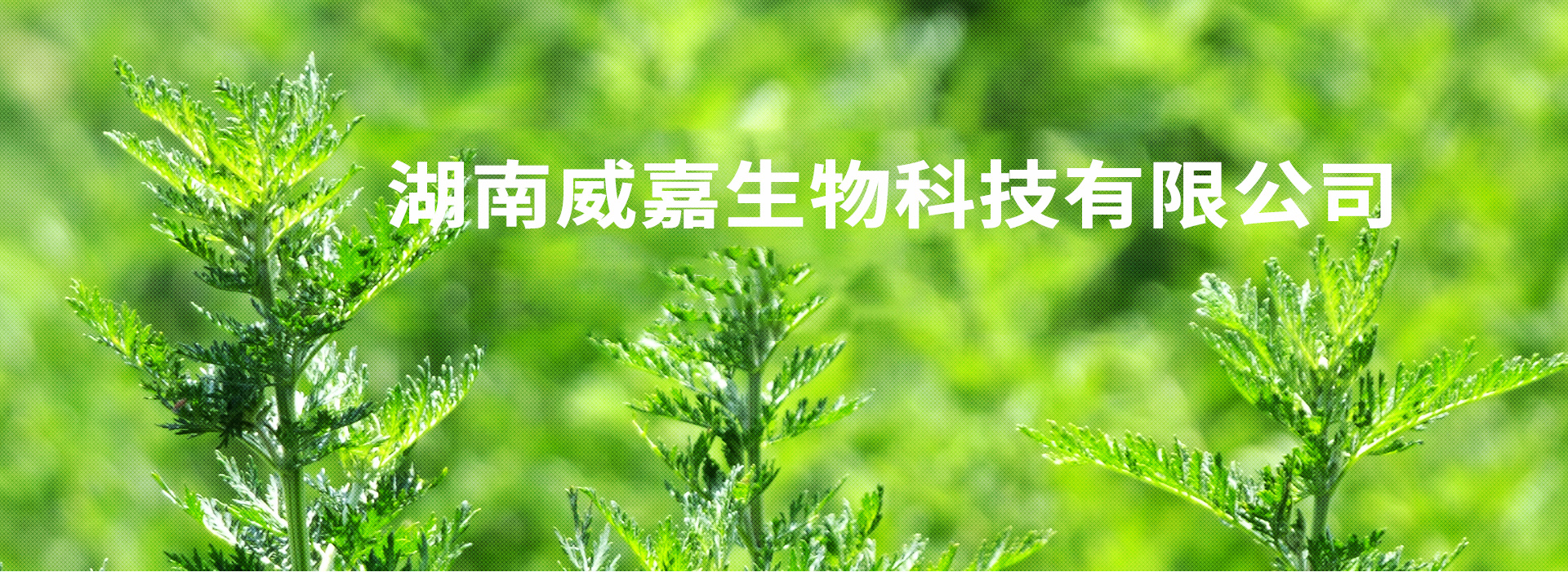 湖南威嘉生物科技有限公司